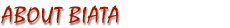 About Biata LLC
